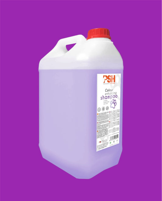 5l Color restoring shampoo