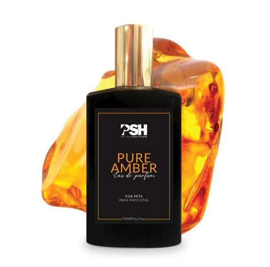 Pure amber kvepalai - PSH Kosmetika