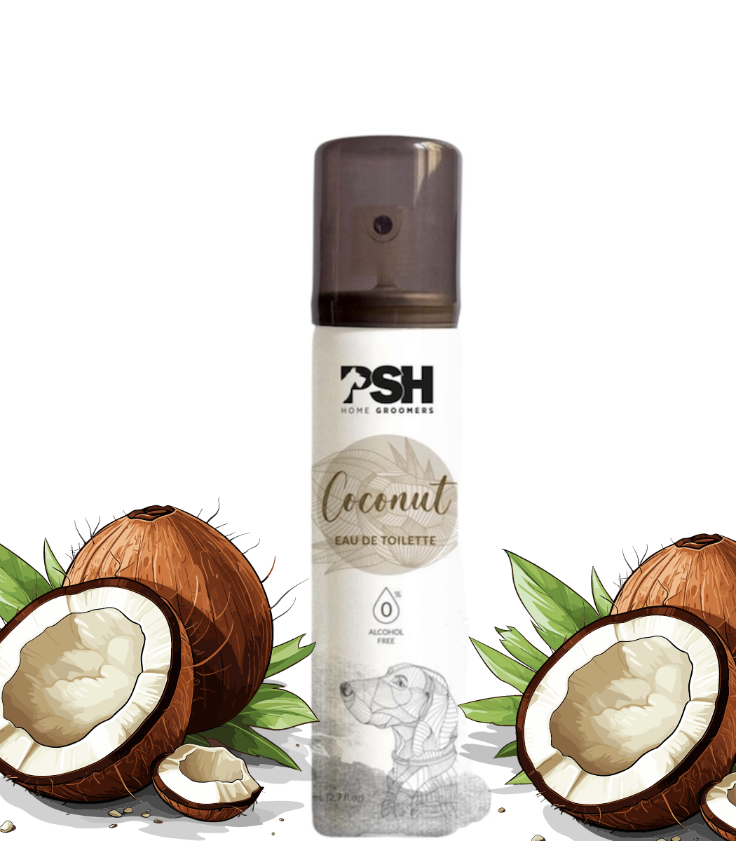 COCONUT perfume