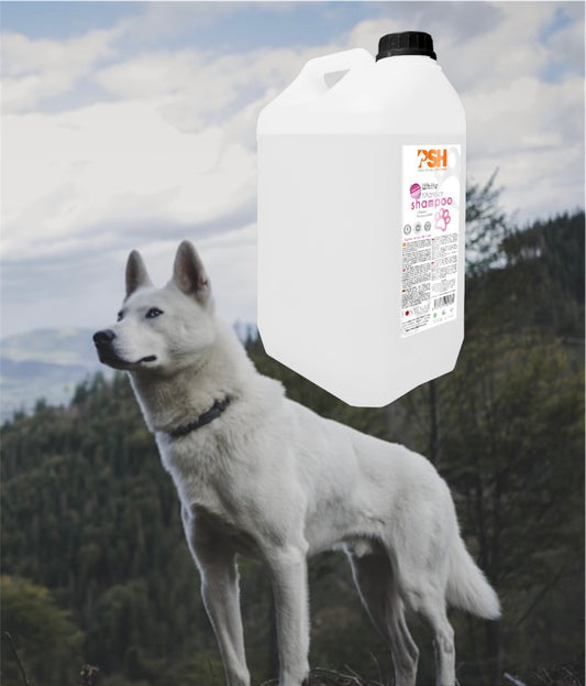 5l Titan white shampoo